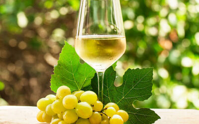 Great Grapes – Chardonnay